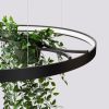 Lustres Aluminium Noir LED 1 Rio Bio