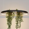 Lustres Aluminium Noir LED 1 Rio Bio
