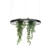 Lustres Aluminium Noir LED 1 Rio Bio