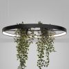 Lustres Aluminium Noir LED 1 Rio Bio
