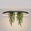 Lustres Aluminium Noir LED 1 Rio Bio