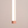 Suspensions Acier Pêche LED 1 Trang