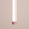 Suspensions Acier Rose LED 1 Trang