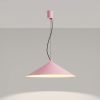 Suspensions Acier Rose LED 1 Fint
