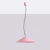 Suspensions Acier Rose LED 1 Fint