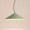 Suspensions Acier Sauge LED 1 Fint