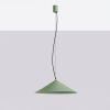 Suspensions Acier Sauge LED 1 Fint