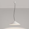 Suspensions Acier Blanc LED 1 Fint