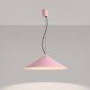 Suspensions Acier Rose LED 1 Fint