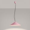 Suspensions Acier Rose LED 1 Fint