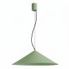 Suspensions Acier Sauge LED 1 Fint
