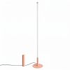 Lampadaire Acier Pêche LED 1 Trang