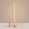 Lampadaire Acier Pêche LED 1 Trang