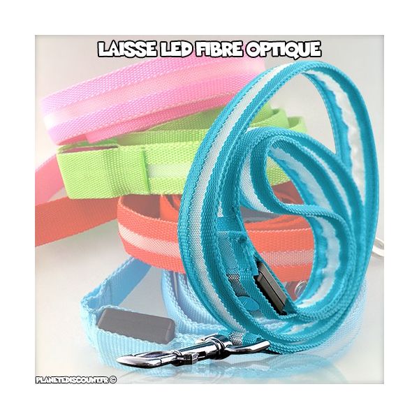 Laisse LED fibre optique Ultra Durable