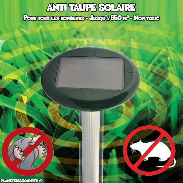 Anti taupe solaire ultrasons - Extérieur grand modèle