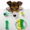 Lot de 4 jouets pour animaux