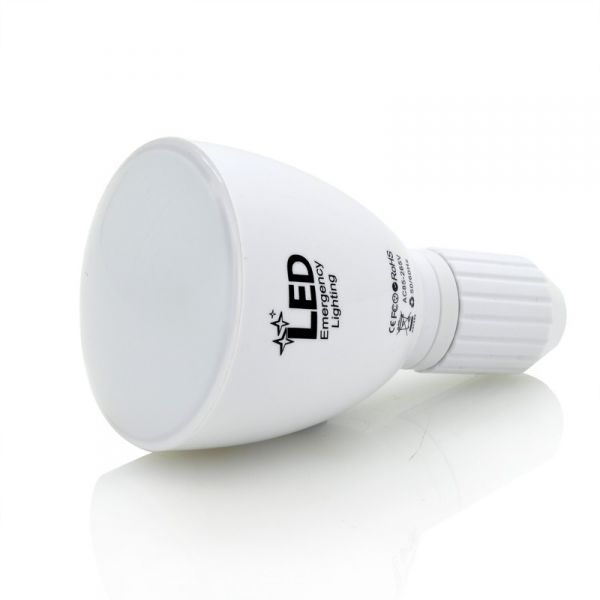 2-en-1 Ampoule LED et lampe de poche - 4 Watts, Télécommande, E27