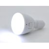 2-en-1 Ampoule LED et lampe de poche - 4 Watts, Télécommande, E27