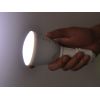 2-en-1 Ampoule LED et lampe de poche - 4 Watts, Télécommande, E27