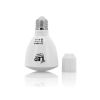 2-en-1 Ampoule LED et lampe de poche - 4 Watts, Télécommande, E27