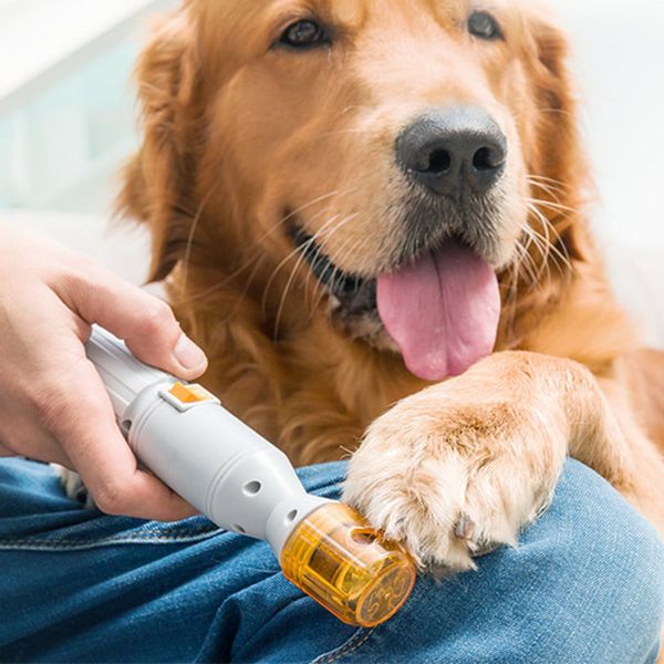 Lime à ongles électrique pédicure animaux