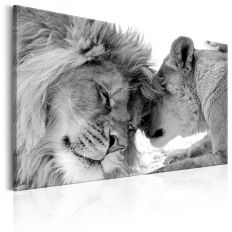 Tableau Lion's Love