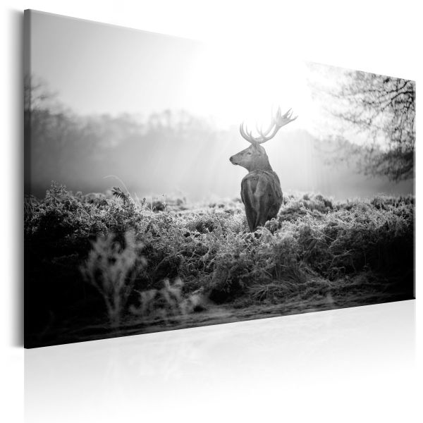 Tableau Black and White Deer