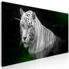 Tableau Shining Tiger 1 Pièce Green Narrow