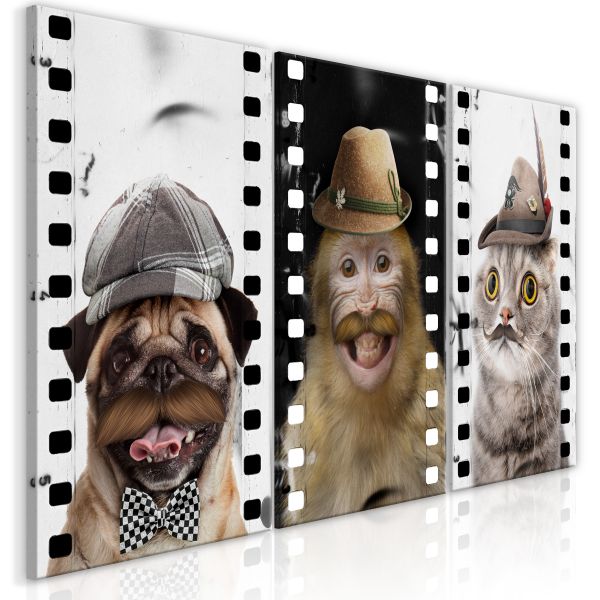 Tableau Funny Pets Collection