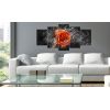 Tableau Fiery Rose