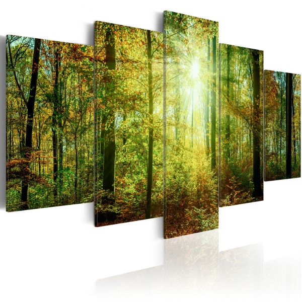 Tableau Wild Forest