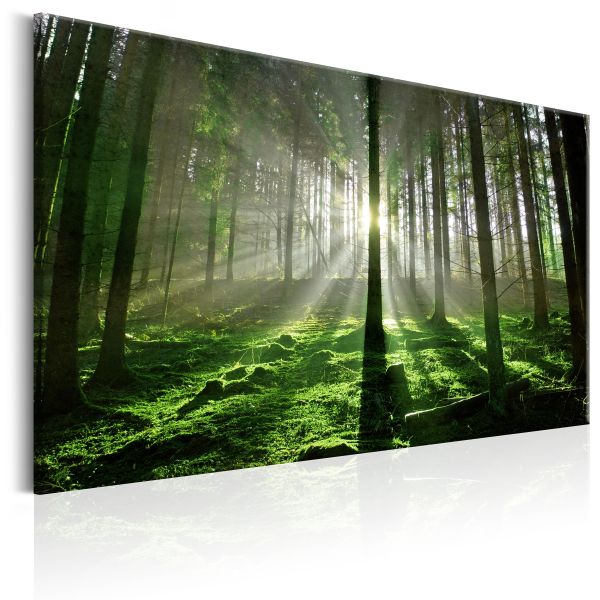 Tableau Emerald Forest II