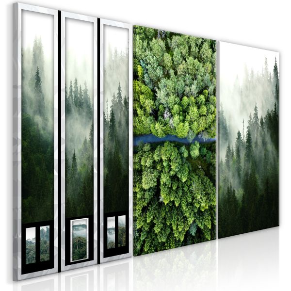 Tableau Forest (Collection)