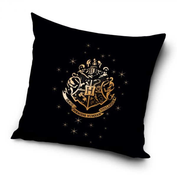 Coussin Harry Potter 40x40 cm Chic