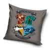 Coussin Harry Potter 40x40 cm Maisons de Poudlard