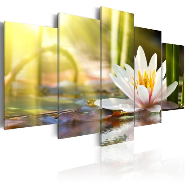 Tableau Fleurs Sunny Lotus