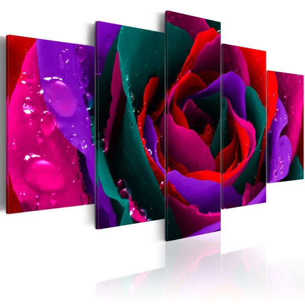 Tableau Fleurs Multicoloured rose