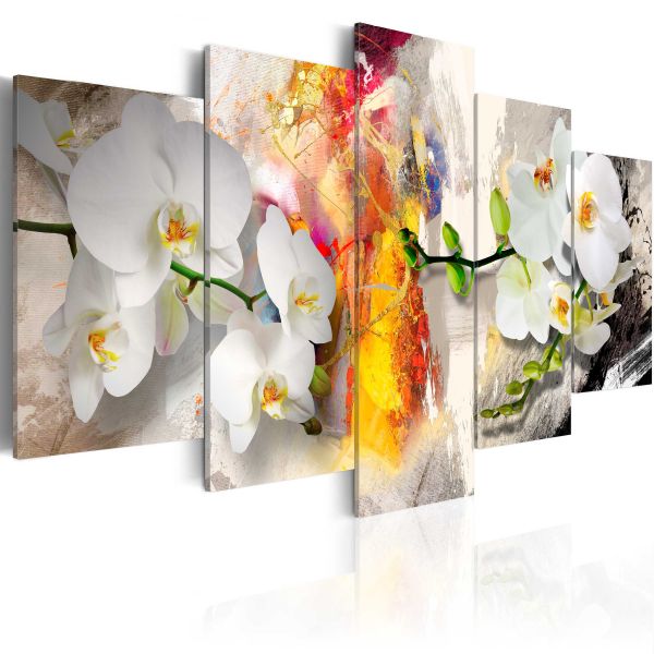 Tableau Fleurs Orchidée et couleurs