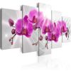 Tableau Fleurs Abstract Garden: Pink Orchids