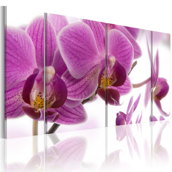 Tableau Fleurs Marvelous orchid