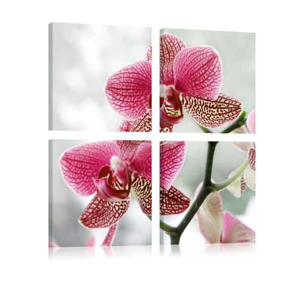 Tableau Fleurs Orchidée de fantaisie