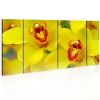 Tableau Fleurs Orchids - intensity of yellow color