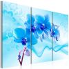 Tableau Fleurs Ethereal orchid - blue