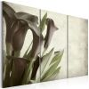 Tableau Fleurs callas - vintage