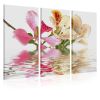 Tableau Fleurs Orchid with colorful spots