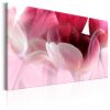 Tableau Fleurs Nature: Pink Tulips