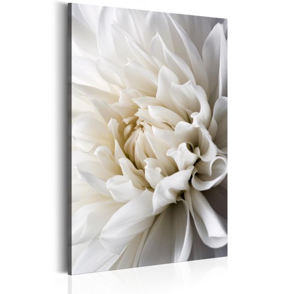 Tableau Fleurs White Dahlia