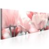 Tableau Fleurs Pink Tulips