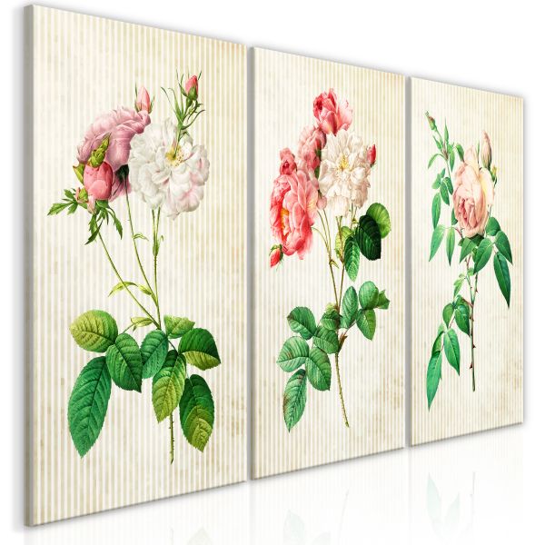 Tableau Fleurs Floral Trio (Collection)