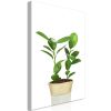 Tableau Fleurs Plant In Pot (1 Part) Vertical